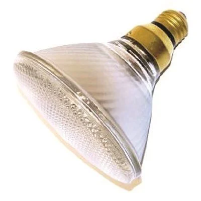Energy - efficient track lighting fixturesSylvania Metalarc Ceramic Ecologic Metal Halide Flood Lamp Par38 100 Watt 100 Volts E26 Medium Clear Energy - efficient track lighting fixturesSylvania Metalarc Ceramic Ecologic Metal Halide Flood Lamp Par38 100 Watt 100 Volts E26 Medium Clear