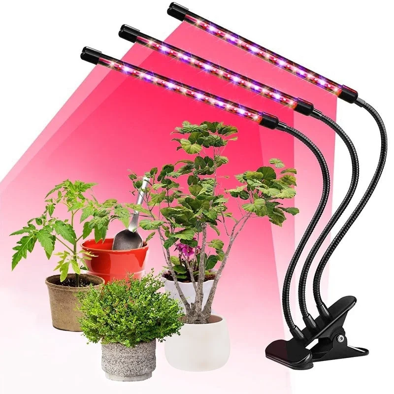 Marble Base Floor Lamp for a Touch of LuxuryMarble Base Floor Lamp for a Touch of LuxuryGrow Lights for Indoor Plants Set of 2, Three Head LED Grow Light with Full Spectrum for Indoor Plant Growing Lamp Marble Base Floor Lamp for a Touch of LuxuryMarble Base Floor Lamp for a Touch of LuxuryGrow Lights for Indoor Plants Set of 2, Three Head LED Grow Light with Full Spectrum for Indoor Plant Growing Lamp